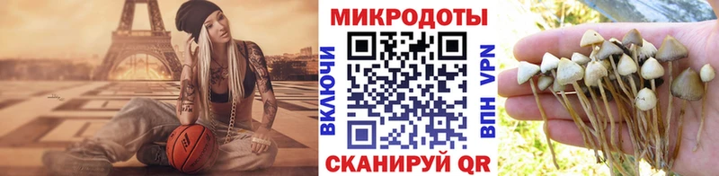 Галлюциногенные грибы Psilocybe Тюкалинск